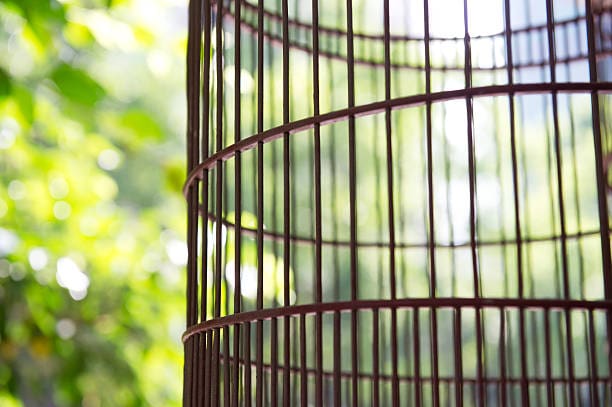 خرید و فروش سیم مفتول قفس پرنده با شرایط فوق العاده